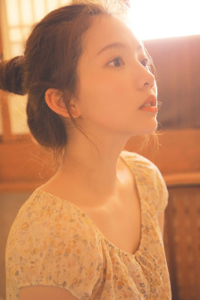 JAPANESEXXⅩHD3D